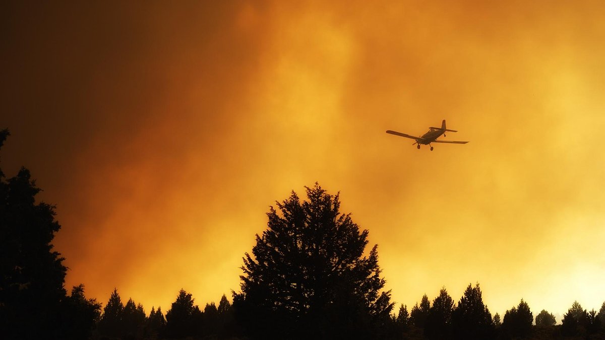 Canicule, sécheresse, incendies : les fléaux de la nature, les ravages du capitalisme