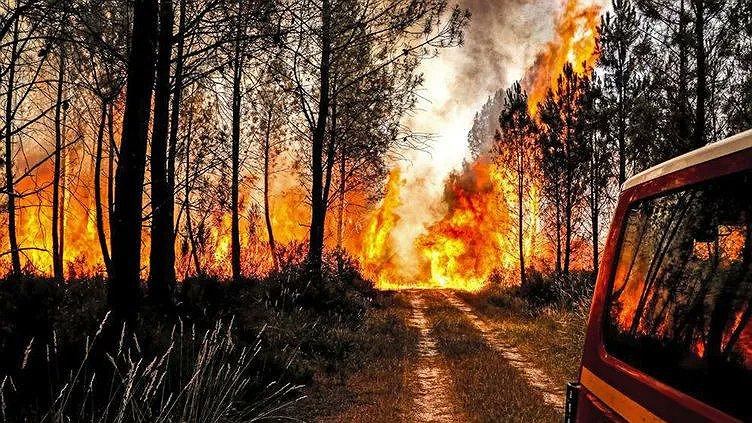 Crise climatique, canicule, incendies :  la faillite d'un système capitaliste de plus en plus fou 