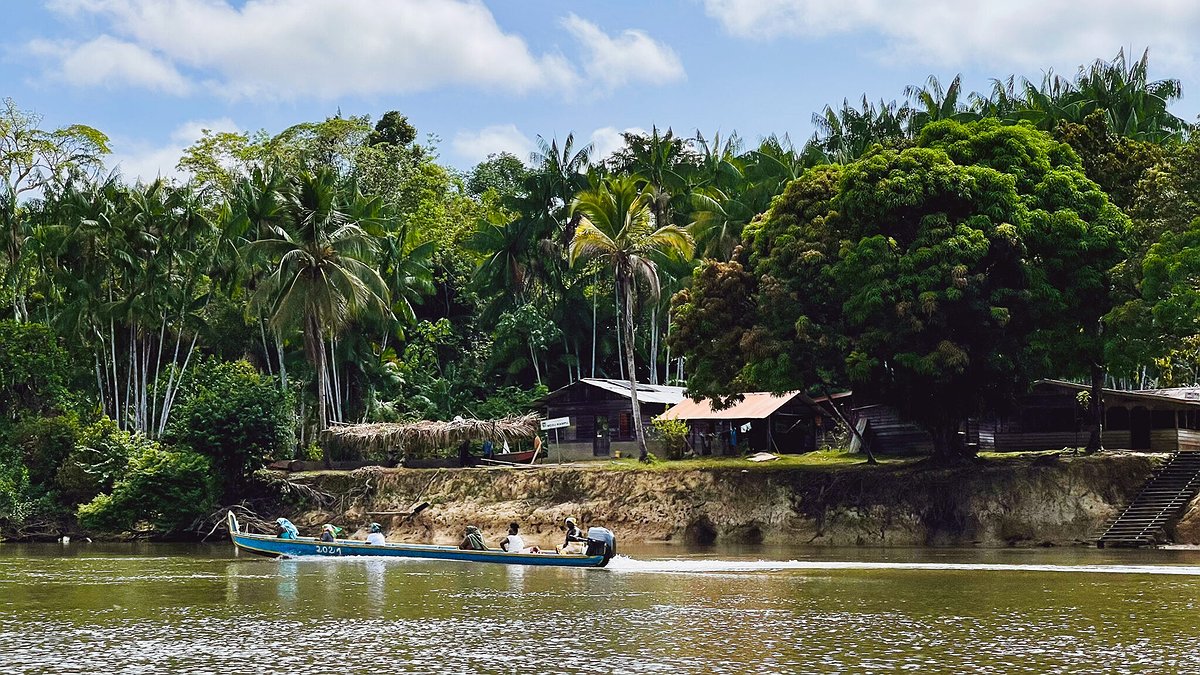 Illustration - Quand le sous-développement tue !