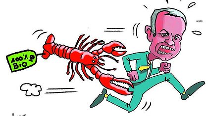 Illustration article
